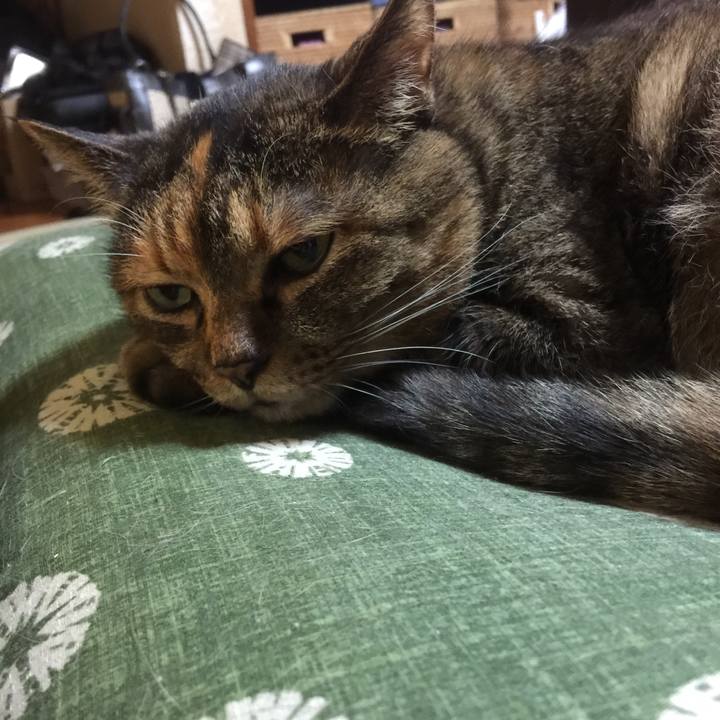 Db629369 a969 4e88 be0b c32426318914