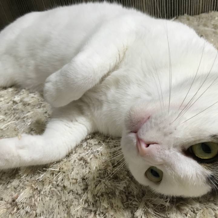 Db6381db b3a7 469d 9eb8 b897142e1f2e