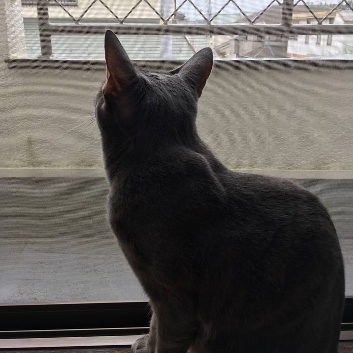 Db638e1b 0968 4417 9601 320259fb8686