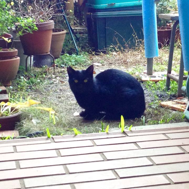 Db63bb3a 01a2 45ab 8286 f88353111d89