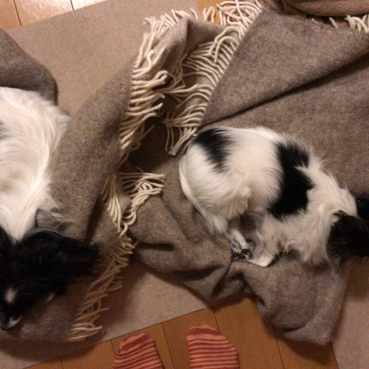 Db6473f9 8637 45be 9484 43304ddbedfa