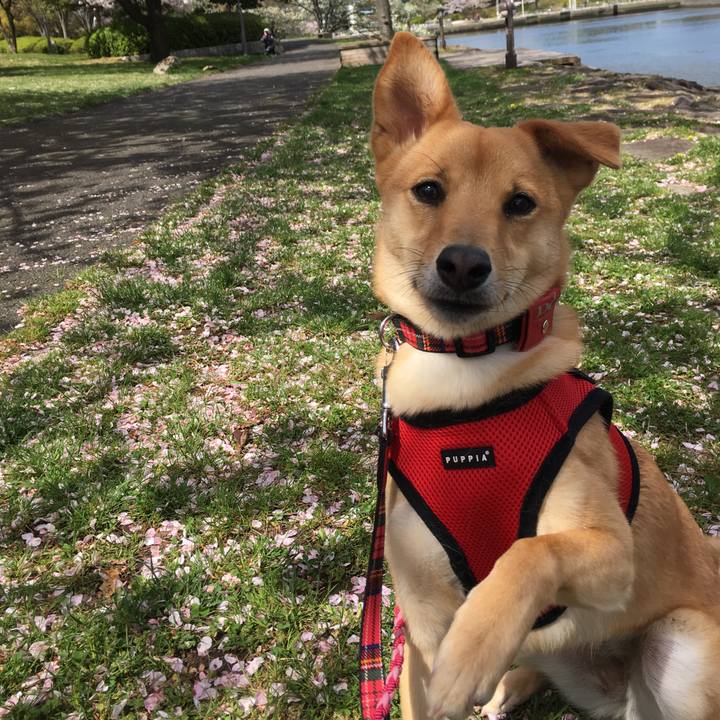 Db649568 5c6f 4286 b26c bb22efe4b88b