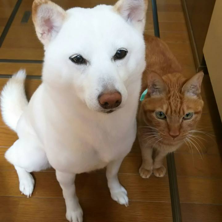 Db64a54a abcc 4b69 b2f8 c7c28b09ef60