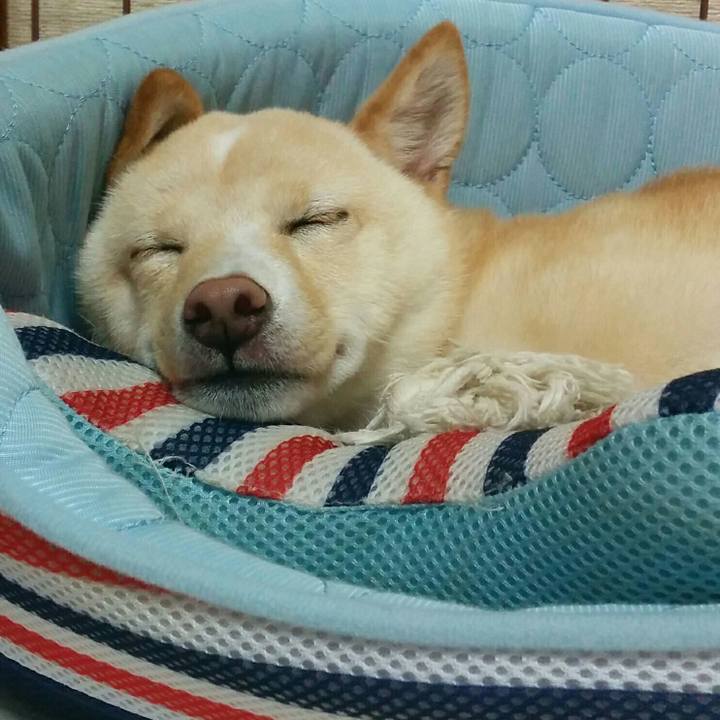 Db64f5d4 d072 40d3 8da3 6936599d6330