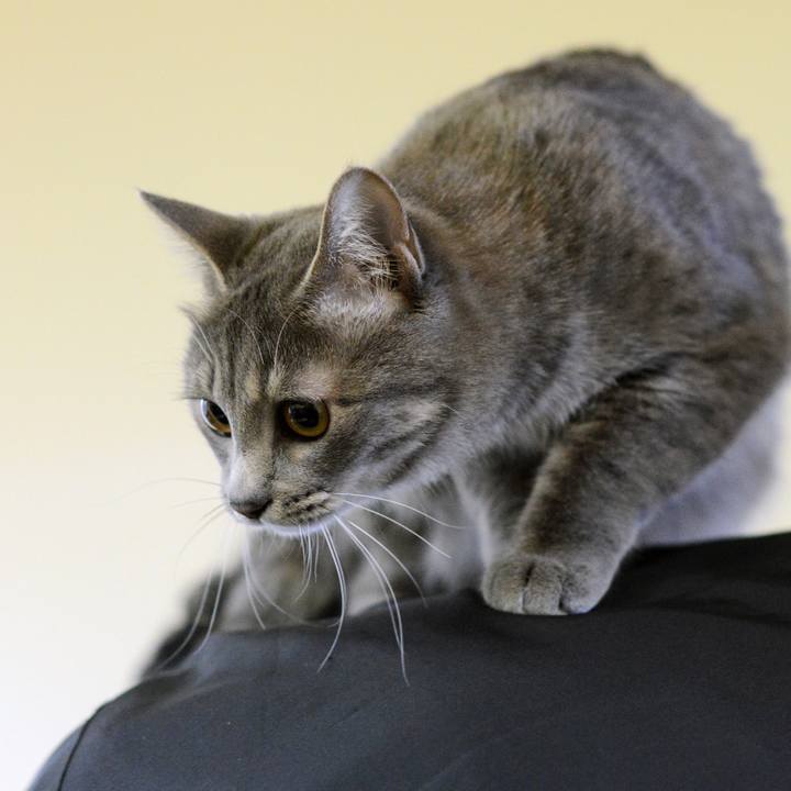 Db6528e8 0afe 4849 b082 0fff202b5a1d