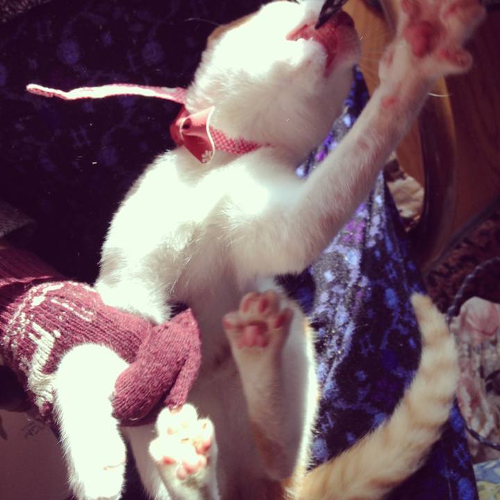 Db65541c 1ab3 44d3 8829 f93e765f6517