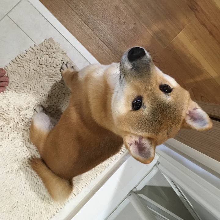 Db65dfaa e9a5 4d96 8e71 7df5a494c6e6