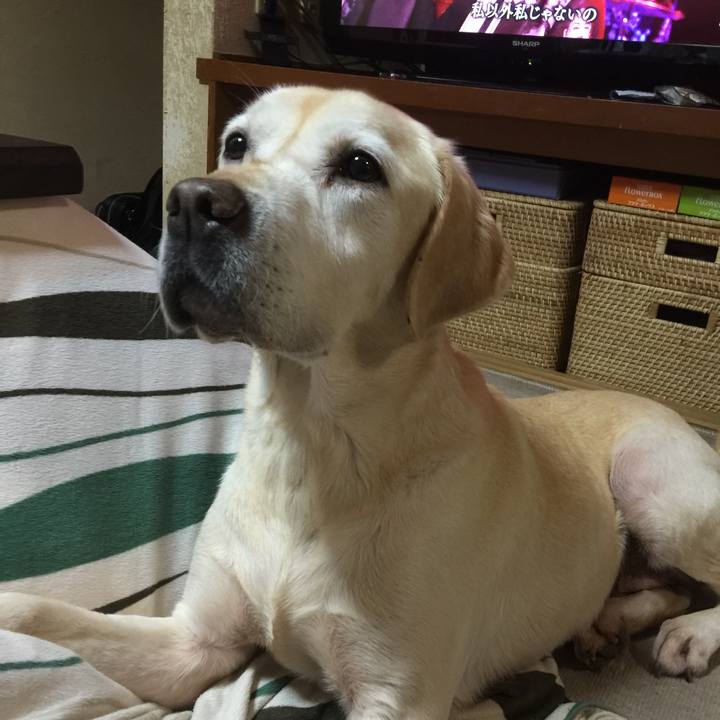 Db6610ea 6f13 482f b1ac 97d279433a58