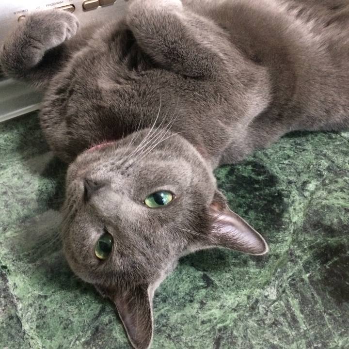 Db66432b 502c 46ba a5b5 0ebec1c12917