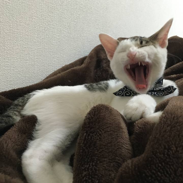 Db673712 77b0 4eb7 b6a8 18f3b06a0674