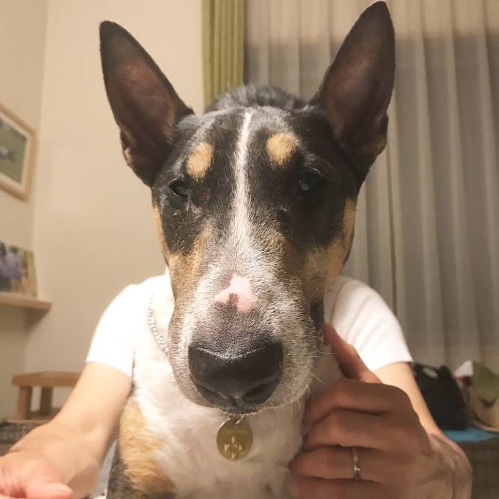 Db678519 8ca6 4975 9e52 b95ea875c2a8