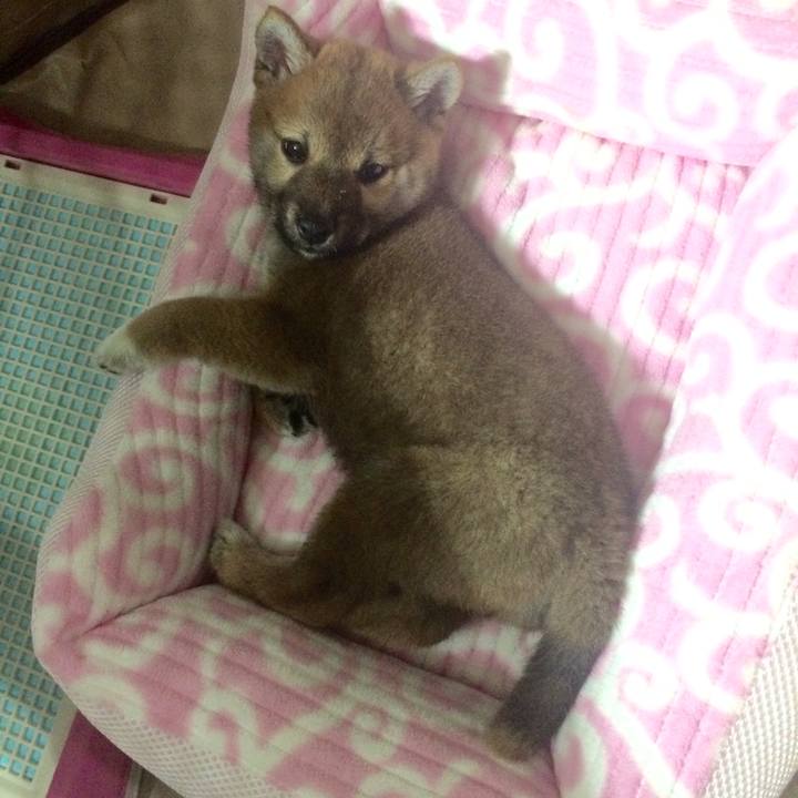 Db67cb08 6eb1 451a b644 14b7393e380d