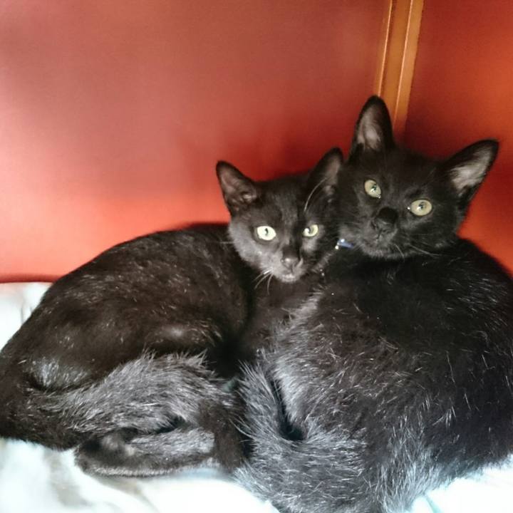 Db67d501 6d26 4e45 9f7c 59e49cce4758