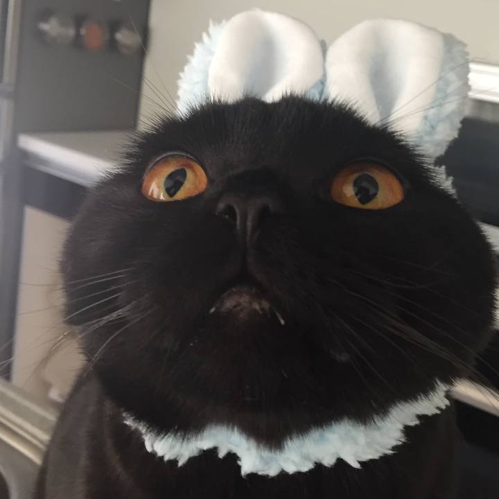 Db68383c 7c49 47dd bda6 fa66e056f9d7