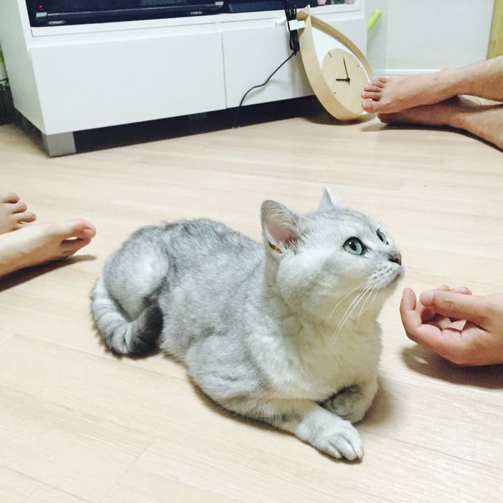 Db68d03d 7c04 4f1c b8eb 02ff3eceb982