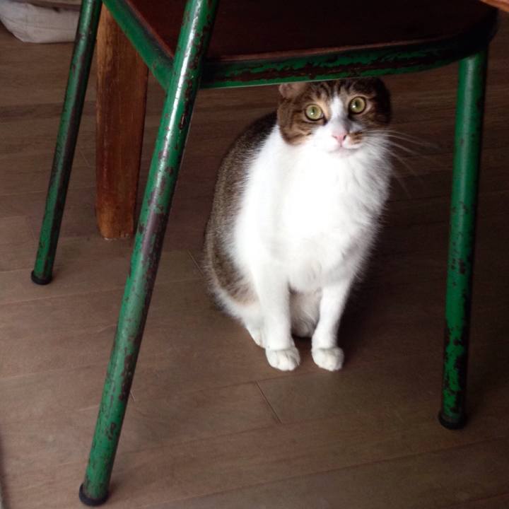 Db6aa204 5f1e 4960 9079 67f0e8d9ed6a