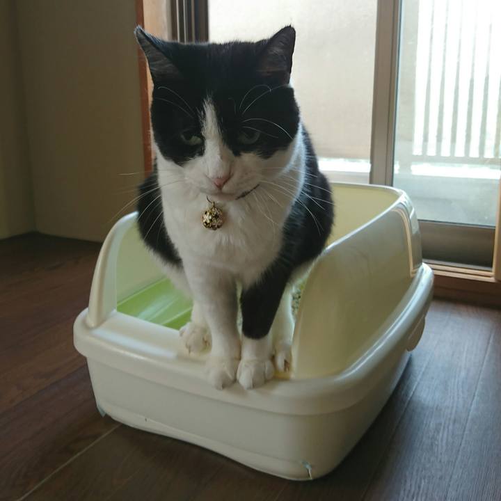 Db6ad10f 9460 4029 893f 8cc1f0de4aa0