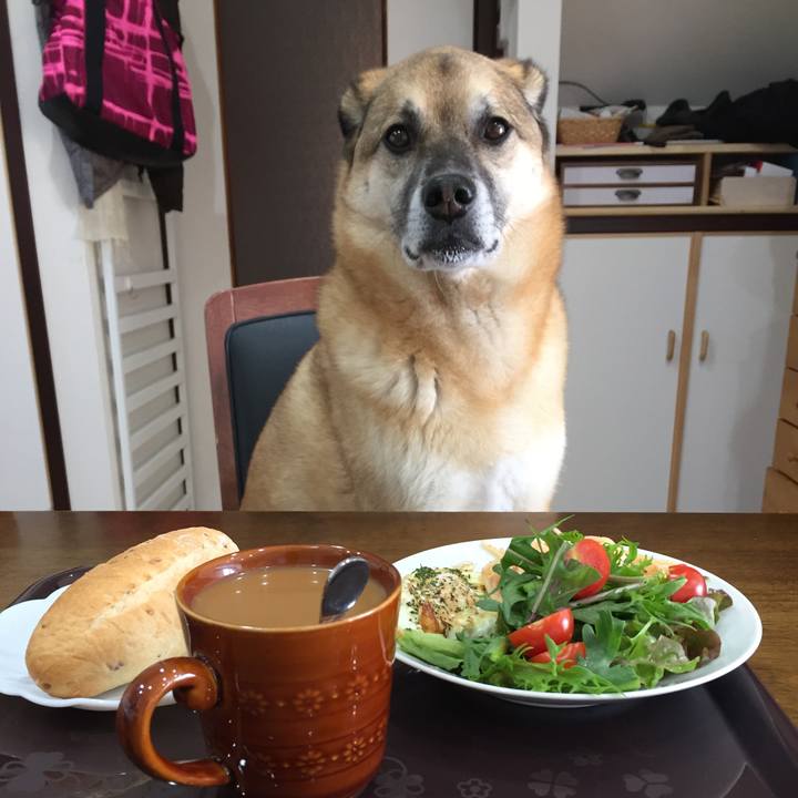 Db6b191b 4a47 4724 b8ec fe1f79626391