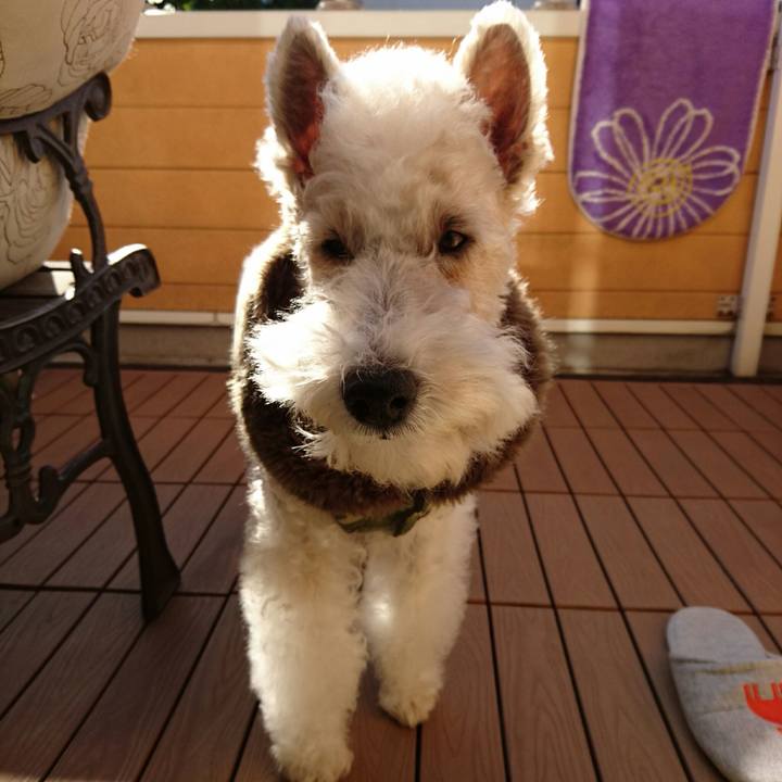 Db6bc5d7 cdc3 4638 aed7 1204b78e8204