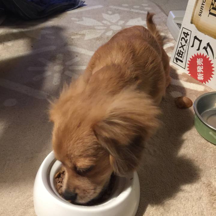 Db6bc6f7 56b5 437c a78b 86cd1e534058