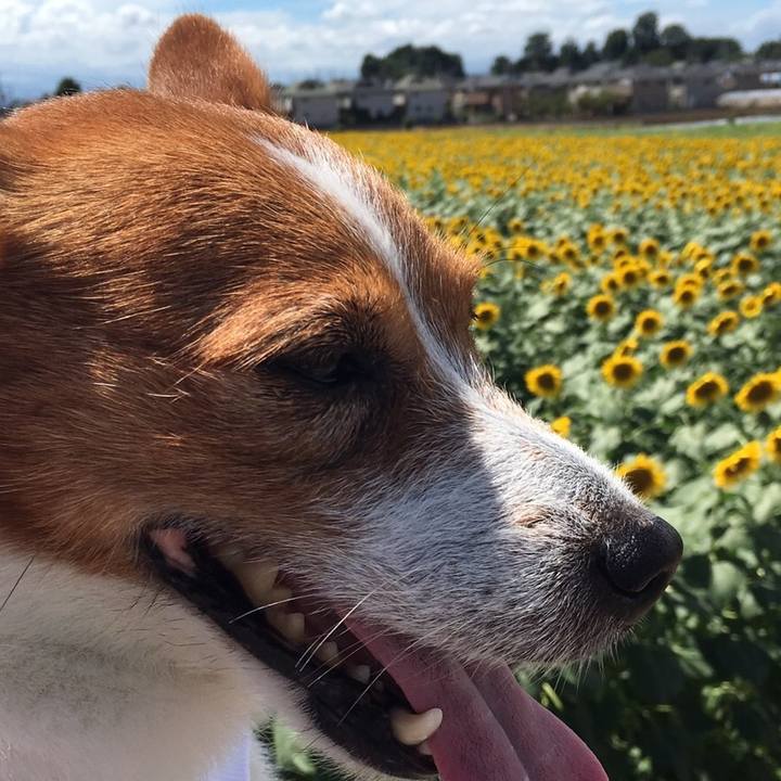 Db6caeee 45c2 4bc2 92f5 b88cacd28fe1