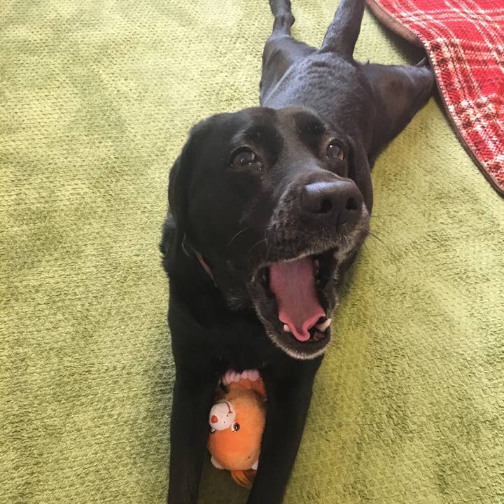 Db6d1b1a bba0 43ed 846d d389ffd38cfa