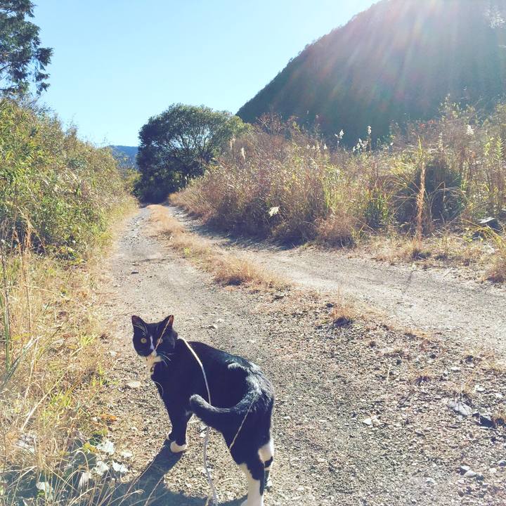 Db6d3878 5518 41fb b9a1 320c74304a00