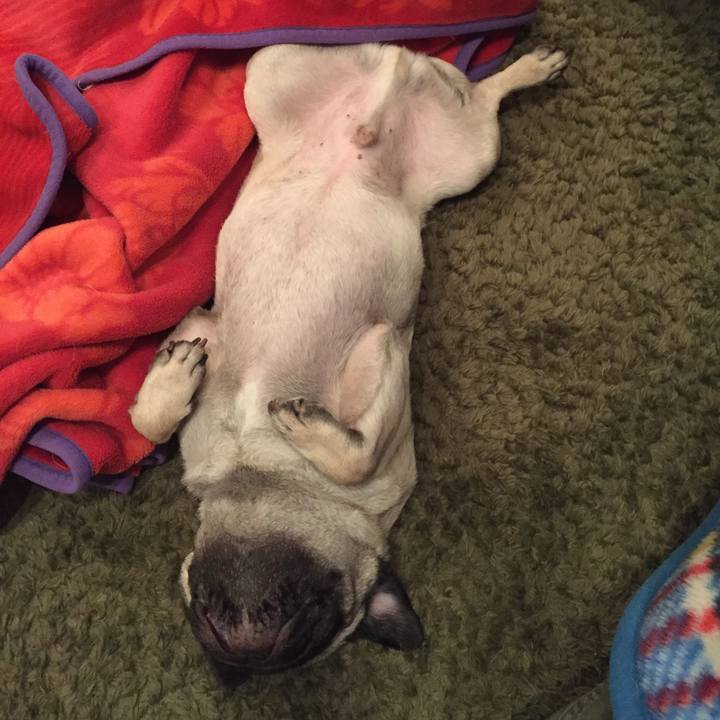 Db6d7096 66e9 49bb b28c 49a9d1d3b18e