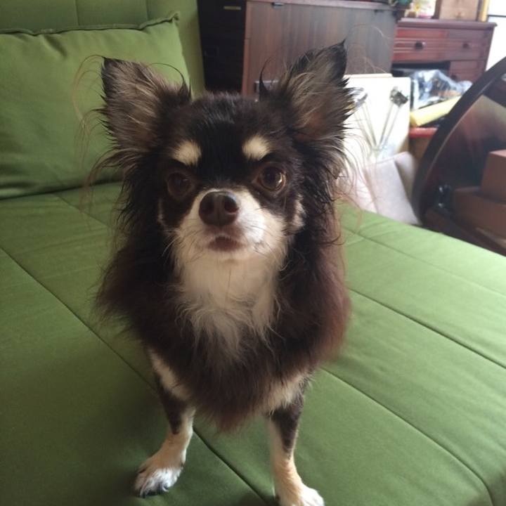 Db6d7619 605c 4a8b 902b a27acfc91c5e