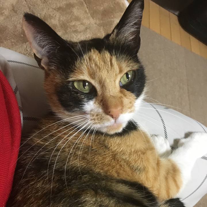 Db6d8793 6103 4164 8b25 0640cc189fd1