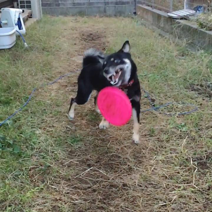 Db6df17f 0081 4239 8d93 f1a90d58f179