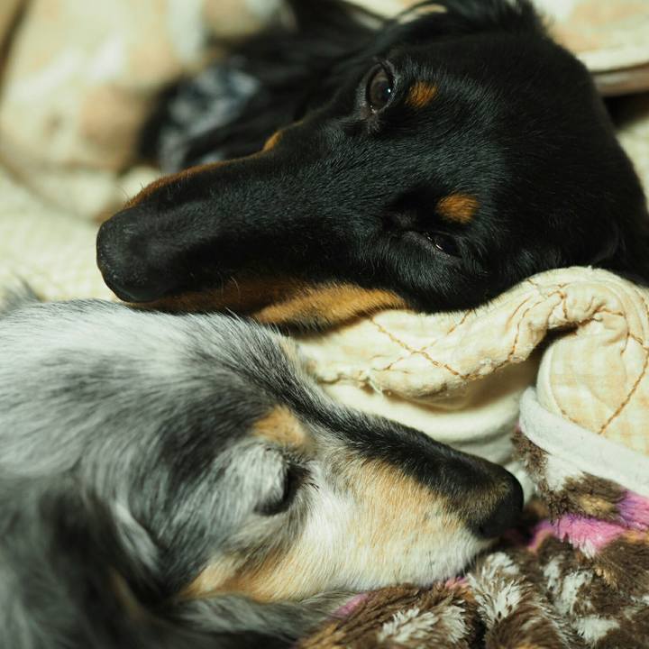 Db6eacae 430f 49d9 8623 e5bf1afe1f16