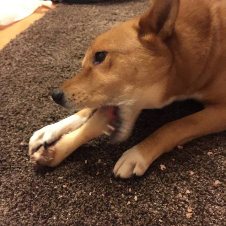 Db6f0cfa 6d74 4ab3 b7ce 3252e944fcf0