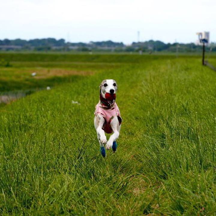 Db6f59d6 2adb 4a8d 9ade c85ec0372a96