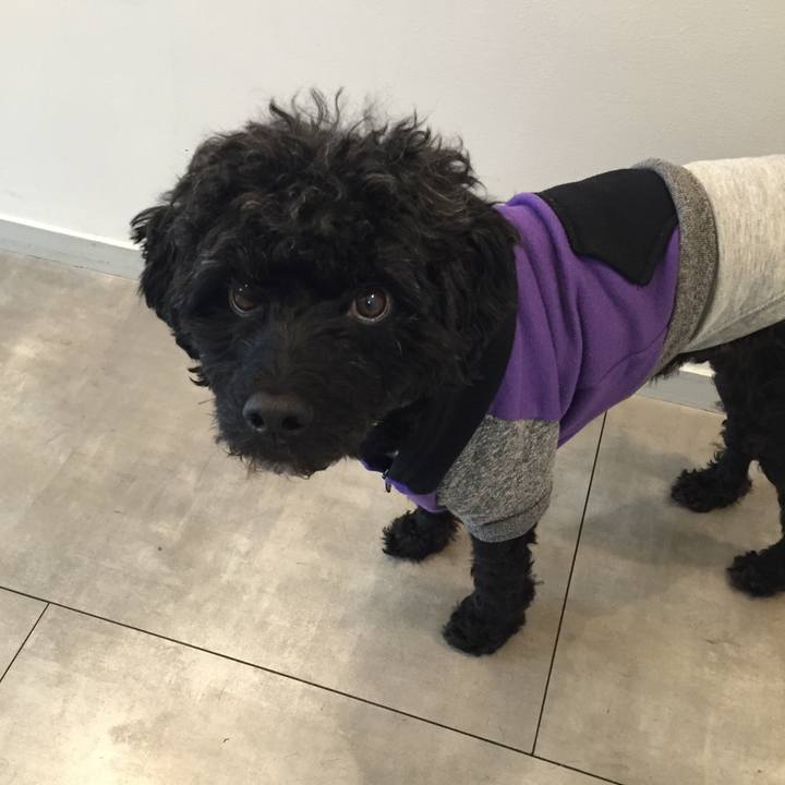 Db6ff3a7 8013 4b73 bb03 96e9697fc630