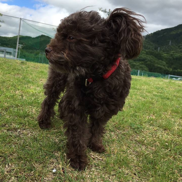 Db704cf5 5e0f 43e1 bc4e 5d9e87563b9c