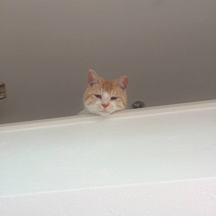 Db705238 8c06 4916 8eca 7de038697351