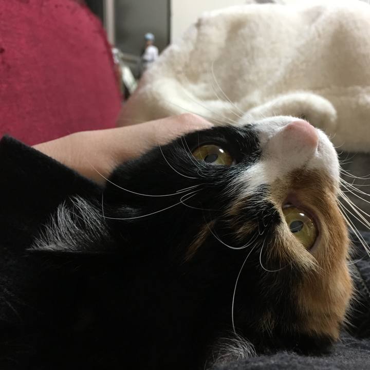 Db70b0b5 72f0 49dd 95f6 cc6e28667ecc