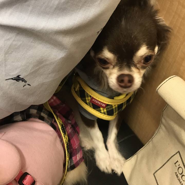 Db70ed88 185c 4eb8 a91f dfb400b01869