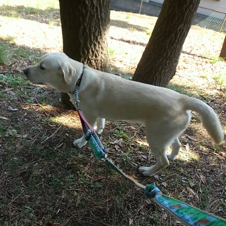 Db7123c3 7c43 4838 917c 33d70b5e69d2