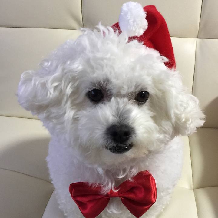 Db716695 a992 463a 8e16 68a0c42b04af