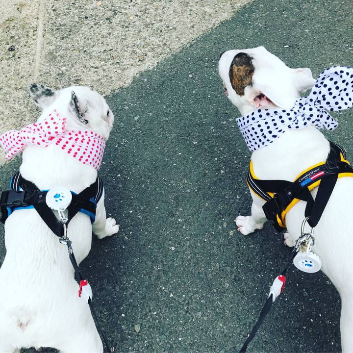 Db71bc0d 9f39 452a ac3f 21a043ac529a