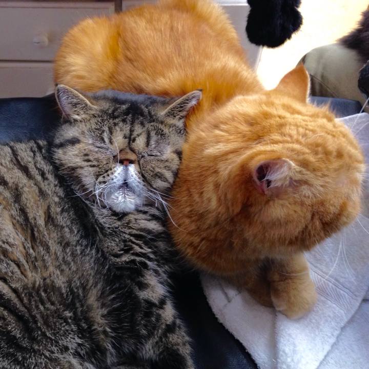 Db71d934 8dee 4782 a3a5 b35135c165a1