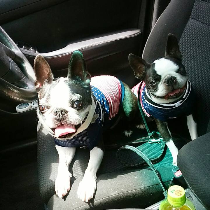 Db724d96 641f 4d02 8f39 e84c7ff3099f