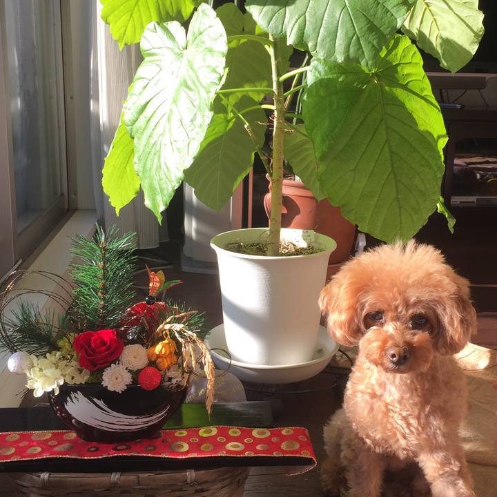 Db72b1f2 f6c9 4968 9b3a c460a54ac18e