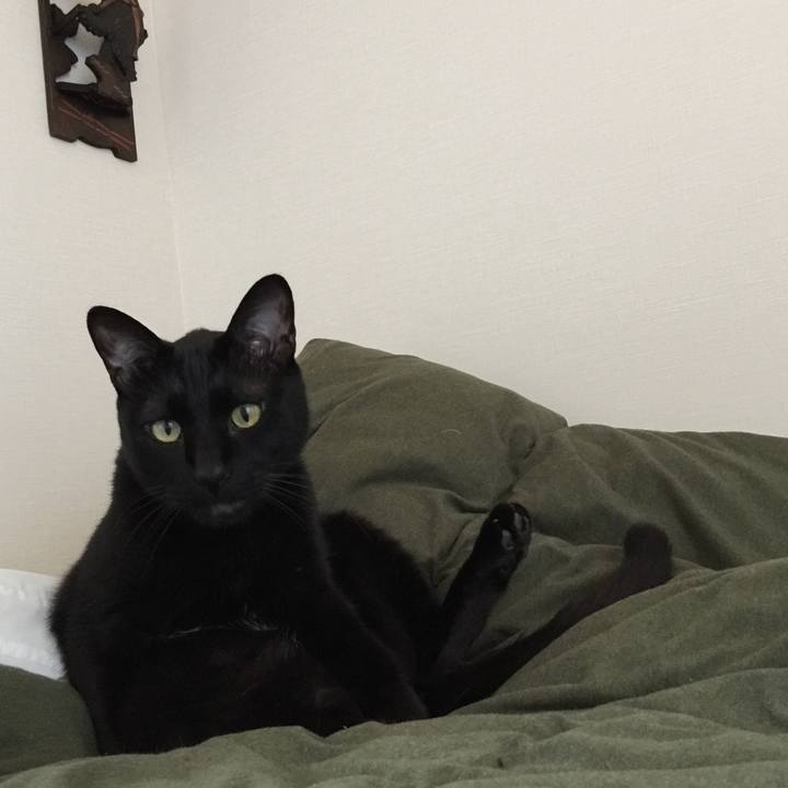 Db740863 a301 4fd9 a91e 9e06844cb720