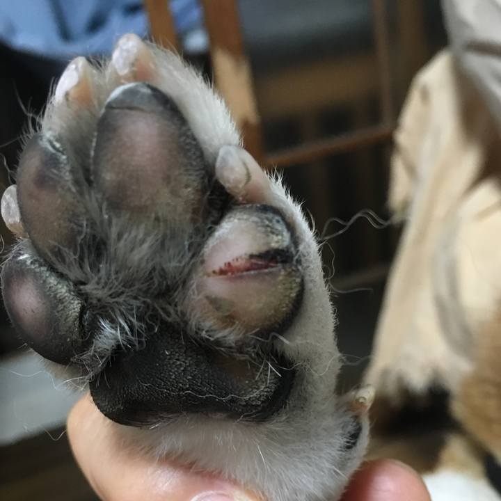 Db74bc3a 59cc 4cae 8fce 3545d86682ed