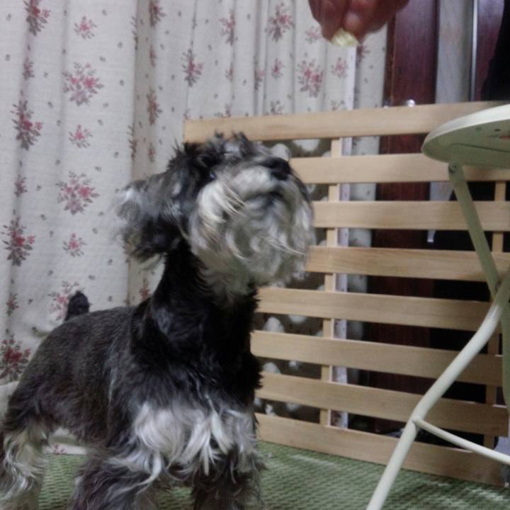 Db74ffcb 48ed 46c4 b43a a37cb018c816