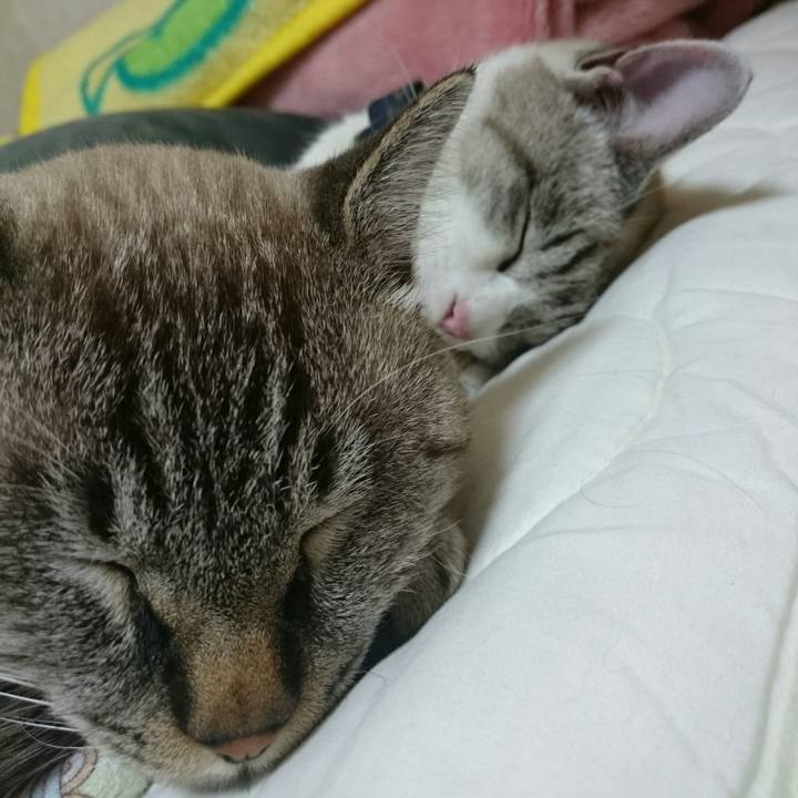 Db7594da de90 4a45 ae00 dea763b4e8a3