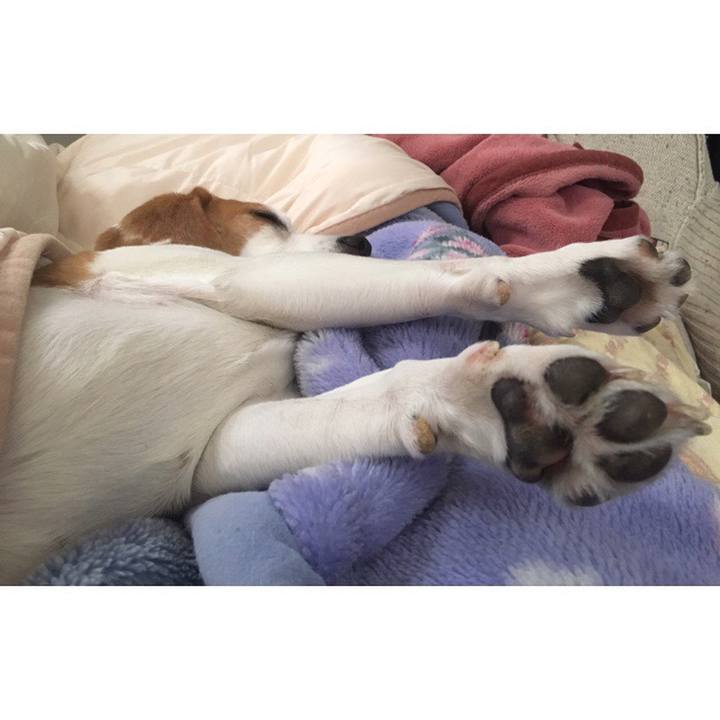 Db75c508 fb6e 4b83 8811 86a4ec370f93